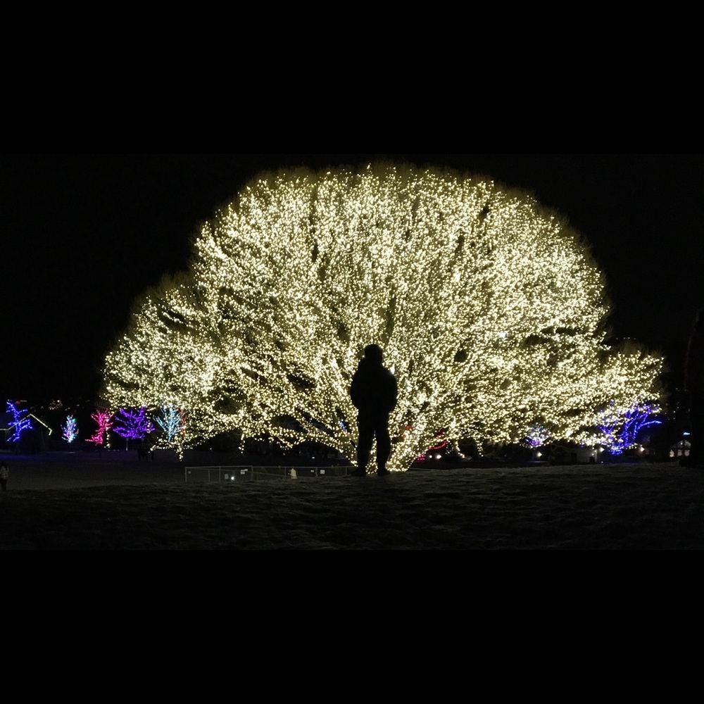 Meet your Posher, Sloan